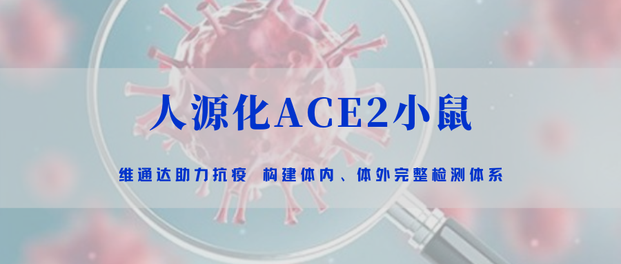 助力抗疫｜leyu乐鱼体育app下载官网手机版ACE2小鼠模型